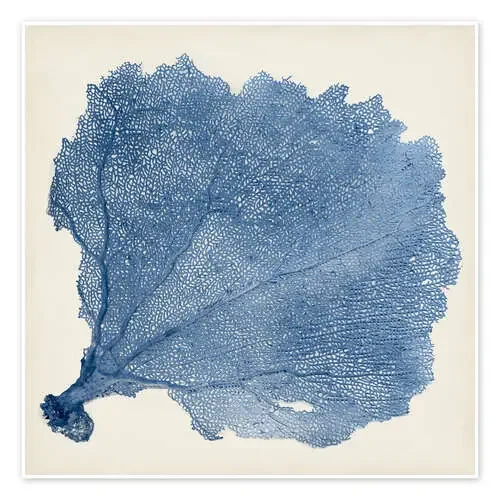 Abanicos de mar azul de Vision Studio World Art Group