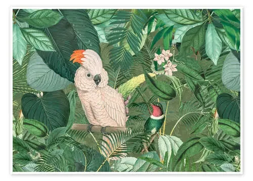Amigos de la selva de Andrea Haase