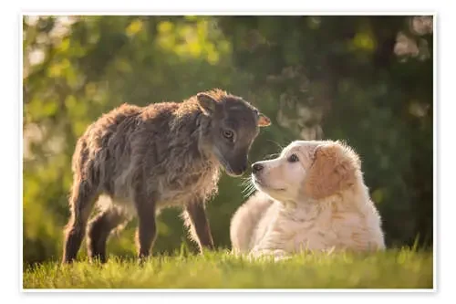 Amistad animal de Wiebke Haas