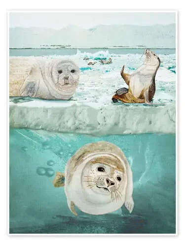 Arctic Expedition de Ángeles M. Pomata