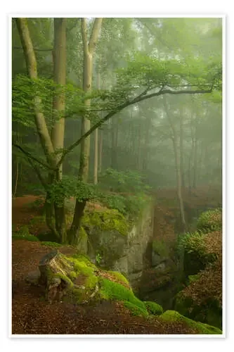 Beautiful misty morning in the Teufelschlucht, Germany de Jos Pannekoek