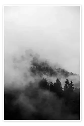 Black forests in fog and clouds de Studio Nahili