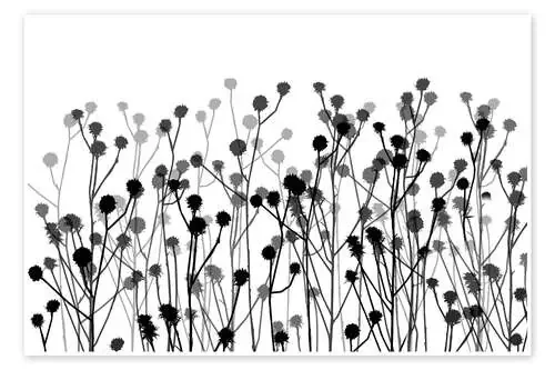 Botanical Minimalism de Andrea Haase