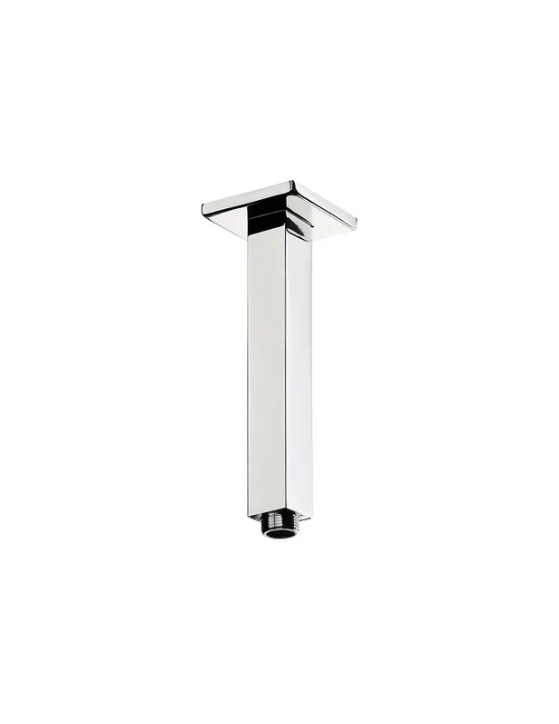 Complementos Brazos de ducha Barra techo 20cm