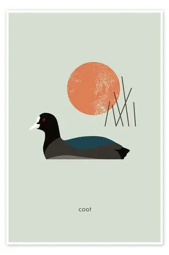 Coot de Maja Modén
