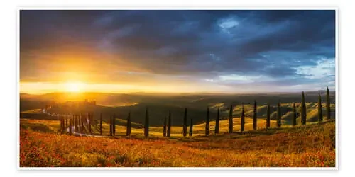 Cypress avenue in Tuscany at sunset de Moqui, Daniela Beyer