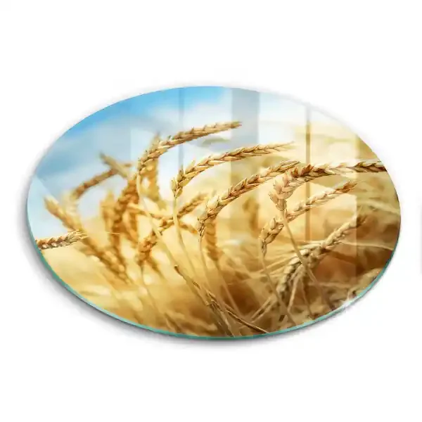 De vidrio templado Espigas de cereales en el campo