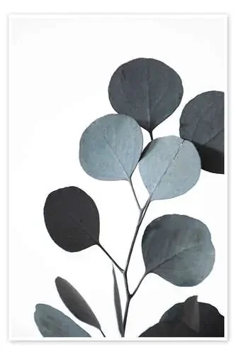 Dried eucalyptus branch de Studio Nahili