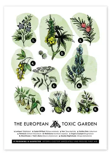 El jardín europeo tóxico (inglés) de Velozee