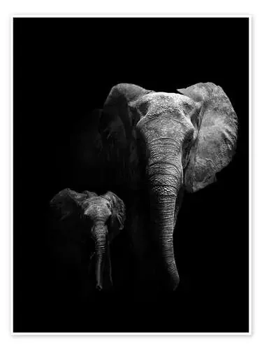 Elephant mother and child de WildPhotoArt 1x