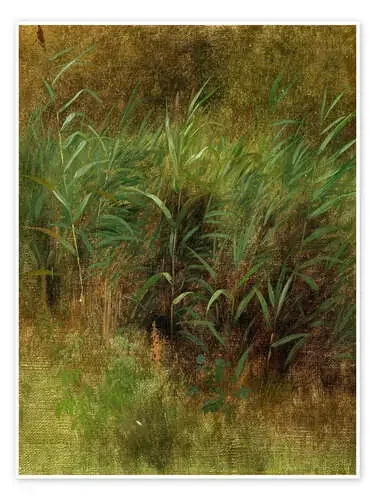 Estudio Reed de Peter Christian Skovgaard Master Collection