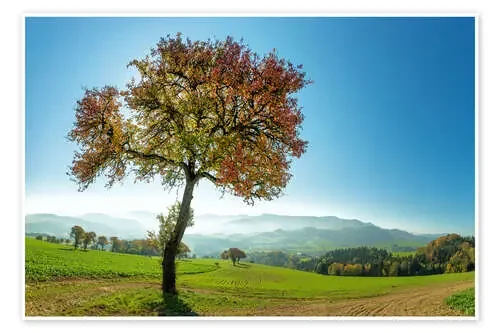 Fall Glory de Walter Quirtmair