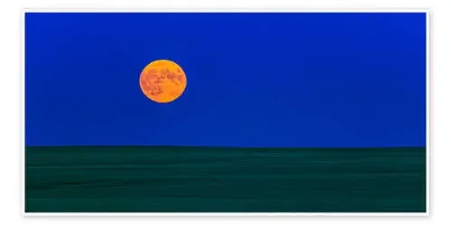 Full moonrise over a green field of wheat in Alberta, Canada de Alan Dyer Stocktrek Images