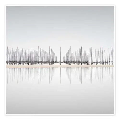 Granja de algas marinas en Japón de Philipp Dase