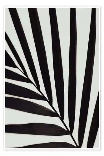 Graphic palm leaf °1 de Studio III 1x