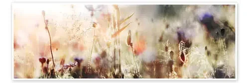 Hierbas y flores silvestres en colores pastel de Lichtspielart