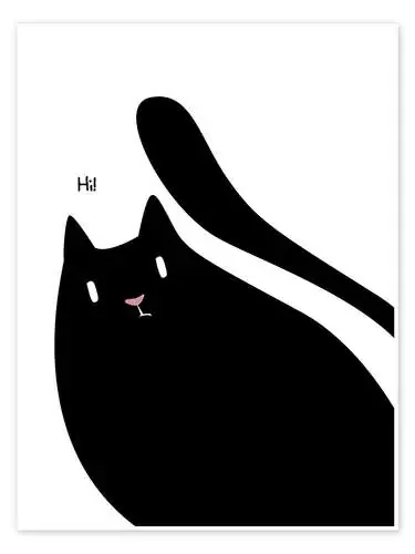 ¡Hola! de ilaamen Pelshaw