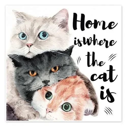 Home is Where the Cat Is de Pineapple Licensing