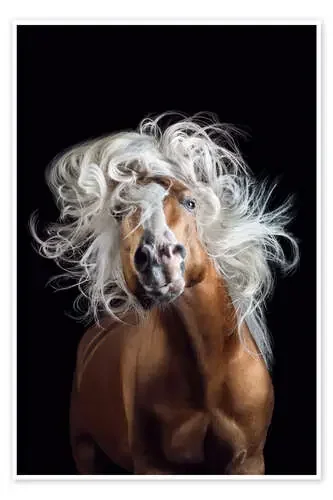 Horsestyle V de Wiebke Haas