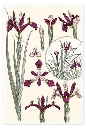 Iris de Eugène Grasset akg-images