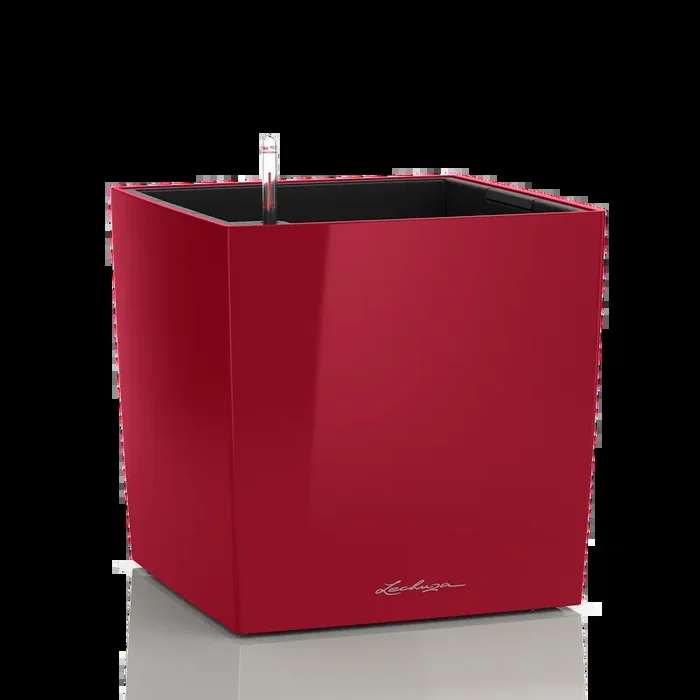Lechuza Macetero CUBE Premium 30, Rojo escarlata brillante