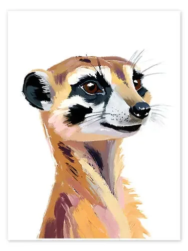 Meerkat de Ohkimiko