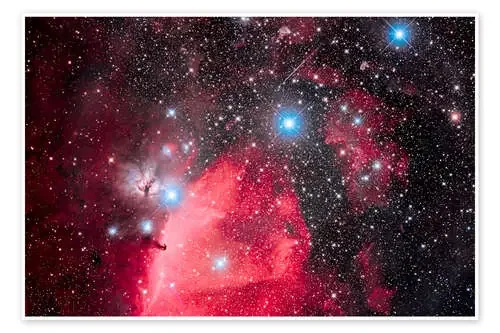 Orion‘s Belt and the Horsehead Nebula de Alan Dyer Stocktrek Images