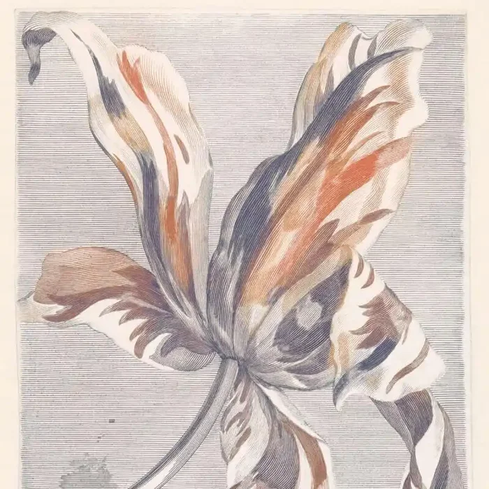 Papeles pintados Tulip Teyler Eijffinger