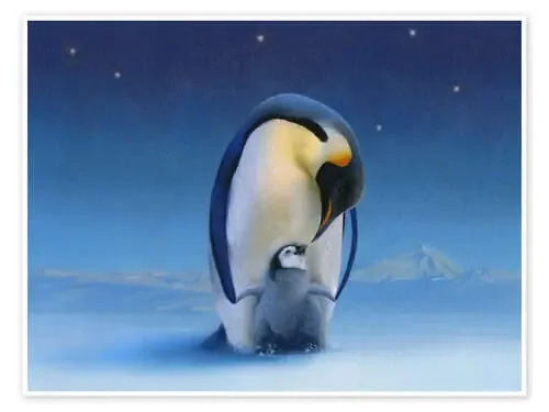Pingüinos por la noche de Simon Mendez Advocate Art