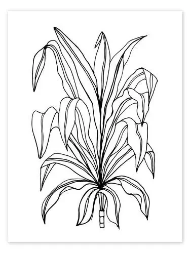 Plant de Silver Moon