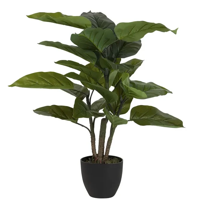 PLANTA AUREUM CON MACETA 65x65x88 CM