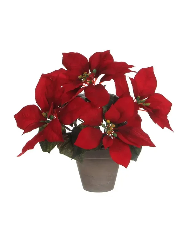 Planta ponsettia roja en maceta gris 27x35cm 8712799347168 83149 MICA DECORATIONS
