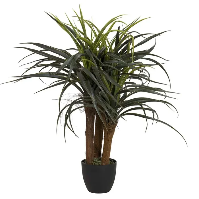 PLANTA YUCCA CON MACETA 58x58x58 CM