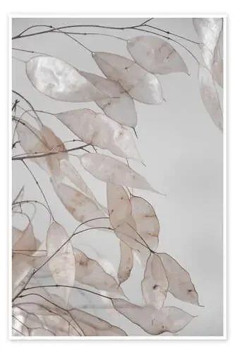 Ramas abstractas – colección del bosque en beige y blanco de Studio Nahili