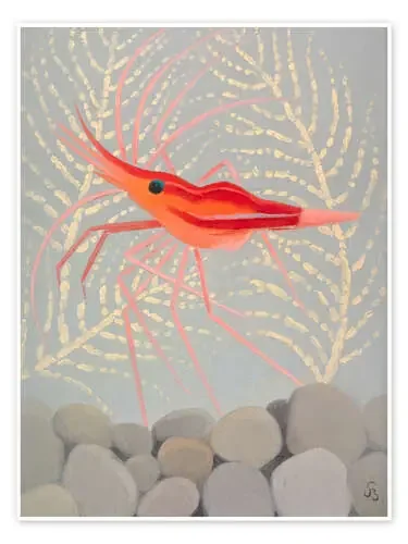 Red shrimp from Madeira de Simon Albert Bussy Bridgeman Images