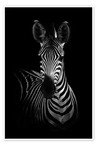 Retrato de una cebra de WildPhotoArt 1x