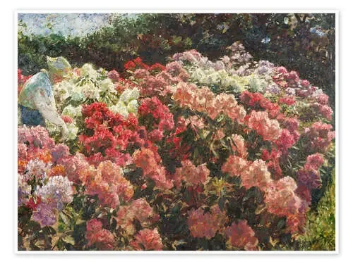 Rhododendron in Dagminne‘s garden, 1917 de Laurits Regner Tuxen Master Collection