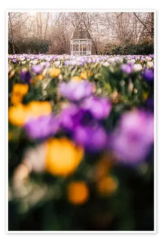Spring in Johannapark, Leipzig de Tom Thiele