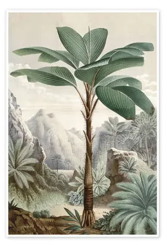 Sueño tropical de Andrea Haase