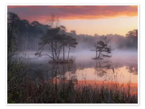 Sunrise at the Oisterwijkse Vennen de Jos Pannekoek