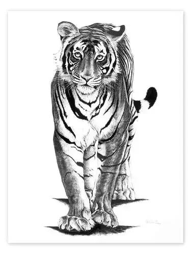 Tigre curioso de Rose Corcoran Bridgeman Images