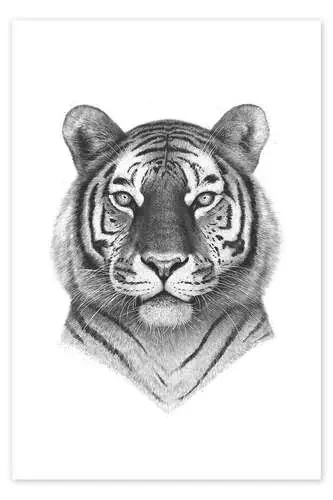 Tigre de Valeriya Korenkova