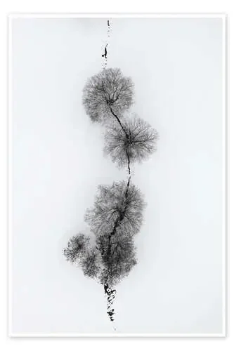 Trees by an icy river in the snow de Studio Nahili