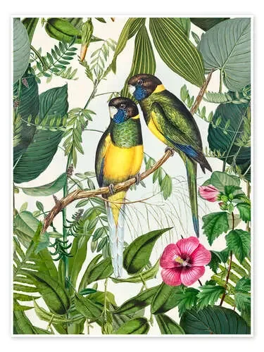 Tropical Birds III de Andrea Haase