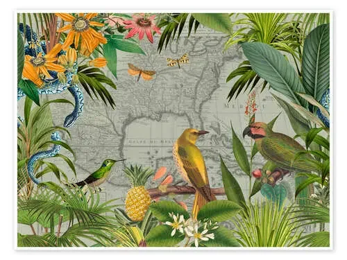 Tropical Mexico Jungle Birds de Andrea Haase