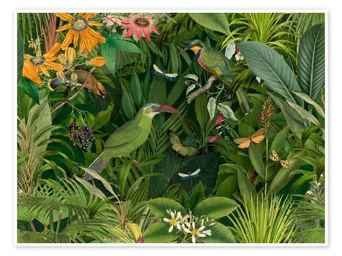 Tropical Midnight Jungle Birds de Andrea Haase