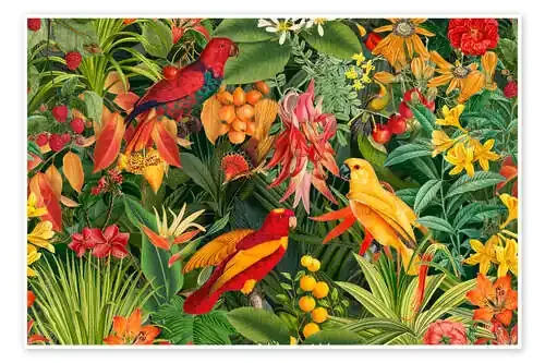 Tropical Summer Night de Andrea Haase