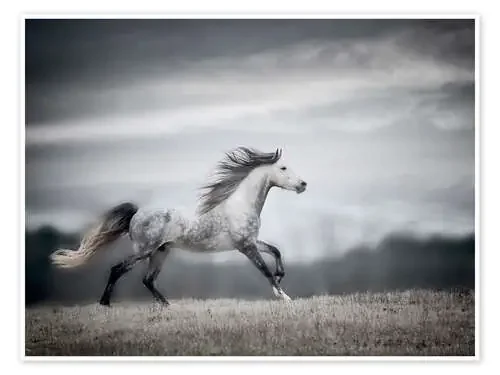 Viento soplado Mane II de PHBurchett World Art Group